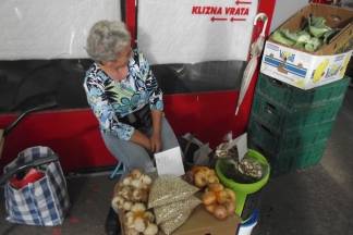 Ponuda četvrtkom na požeškoj tržnici: 25.08.2016.