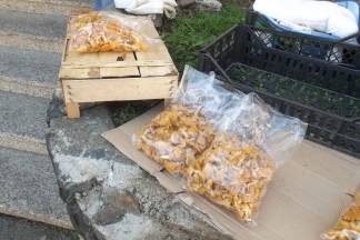 Ponuda četvrtkom na požeškoj tržnici: 25.08.2016.