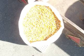 Ponuda četvrtkom na požeškoj tržnici: 25.08.2016.