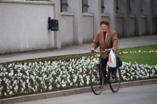 Subotnja šetnja Požegom:15.10.2016.