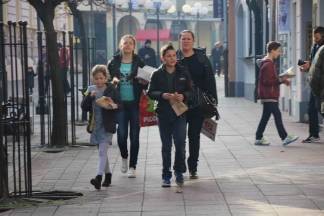 Sunčana šetnja Požegom, 19.11.2016.