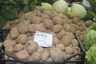 Božićna ponuda na požeškoj tržnici