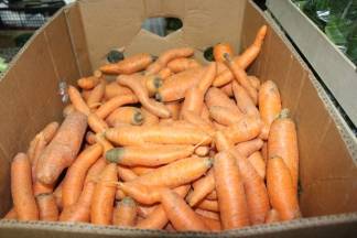 Božićna ponuda na požeškoj tržnici