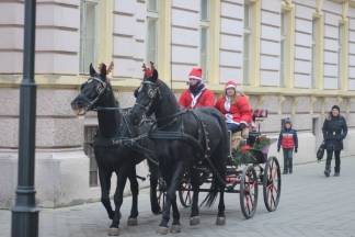 Badnjak u Požegi 24.12.2016