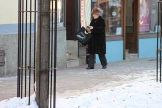 Prva ovogodišnja šetnja Požegom, 7.1.2017.