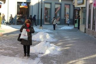 Prva ovogodišnja šetnja Požegom, 7.1.2017.