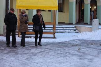 Prva ovogodišnja šetnja Požegom, 7.1.2017.