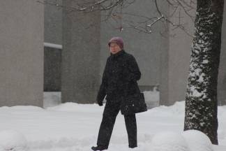 Snježna šetnja Požegom 17.01.2017.