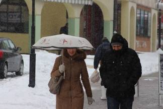 Snježna šetnja Požegom 17.01.2017.