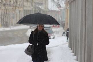 Snježna šetnja Požegom 17.01.2017.