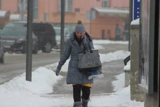 Snježna šetnja Požegom 17.01.2017.