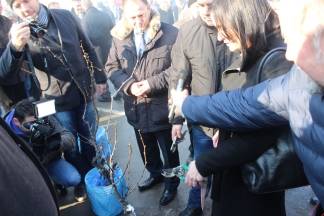 Vincelovo u Požegi 21.01.2017.