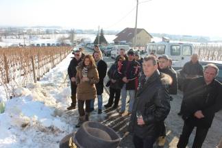 Vincelovo kod obitelji Krauthaker u Kutjevu