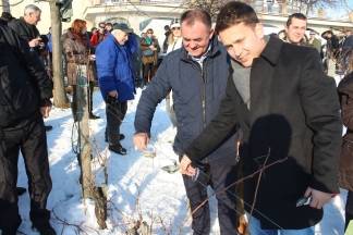 Vincelovo kod obitelji Krauthaker u Kutjevu