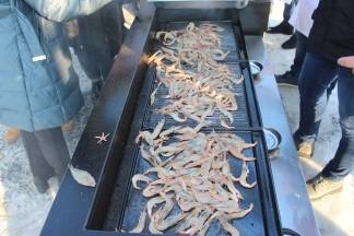 Vincelovo kod obitelji Krauthaker u Kutjevu