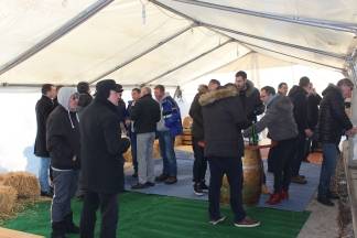 Vincelovo kod obitelji Krauthaker u Kutjevu