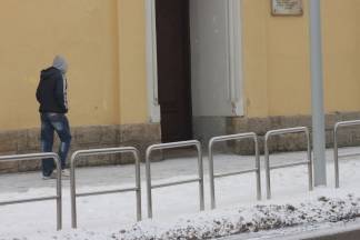 Subotnja šetnja Požegom 28.01.2017.