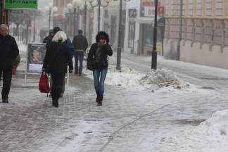 Subotnja šetnja Požegom 28.01.2017.