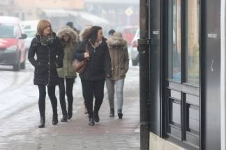 Subotnja šetnja Požegom 28.01.2017.