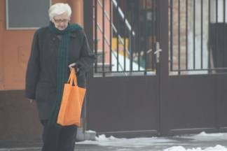 Subotnja šetnja Požegom 28.01.2017.