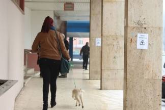 Subotnja šetnja Požegom 28.01.2017.