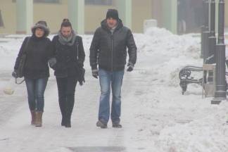 Subotnja šetnja Požegom 28.01.2017.