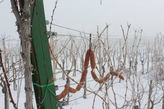 Vincelovo kod Ive Žuljevića u Dragi 28.01.2017