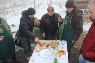 Vincelovo kod Ive Žuljevića u Dragi 28.01.2017