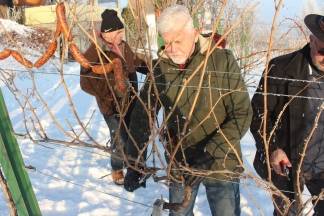 Vincelovo kod Ive Žuljevića u Dragi 28.01.2017