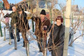 Vincelovo kod Ive Žuljevića u Dragi 28.01.2017