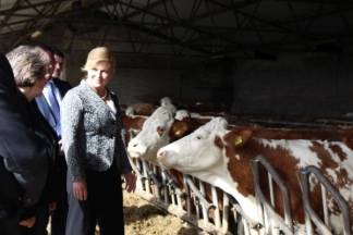 Kolinda Grabar-Kitarović u Kaptolu i Cerovcu, 3.3.2017.