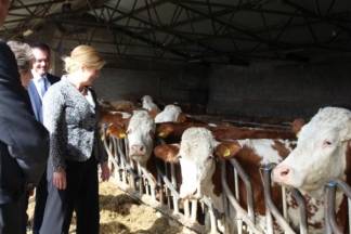 Kolinda Grabar-Kitarović u Kaptolu i Cerovcu, 3.3.2017.