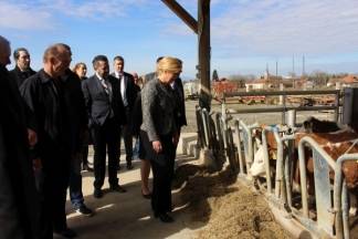 Kolinda Grabar-Kitarović u Kaptolu i Cerovcu, 3.3.2017.