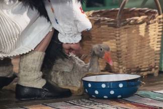 Lijepom našom u Požegi 08.03.2017. / 1. - DIO