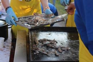Najduži stol u Hrvata, Velika 27.5.2017.