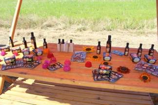 14. natjecanje orača Požeško- slavonske županije i 3. natjecanje u oranju konjskim zapregama