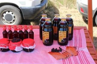 14. natjecanje orača Požeško- slavonske županije i 3. natjecanje u oranju konjskim zapregama