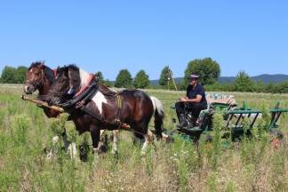 14. natjecanje orača Požeško- slavonske županije i 3. natjecanje u oranju konjskim zapregama