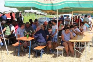 14. natjecanje orača Požeško- slavonske županije i 3. natjecanje u oranju konjskim zapregama