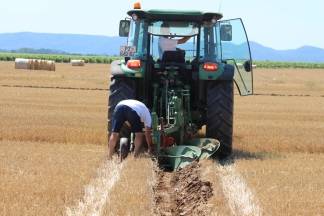 14. natjecanje orača Požeško- slavonske županije i 3. natjecanje u oranju konjskim zapregama