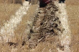 14. natjecanje orača Požeško- slavonske županije i 3. natjecanje u oranju konjskim zapregama