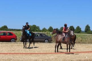 14. natjecanje orača Požeško- slavonske županije i 3. natjecanje u oranju konjskim zapregama
