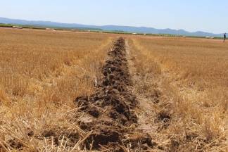 14. natjecanje orača Požeško- slavonske županije i 3. natjecanje u oranju konjskim zapregama