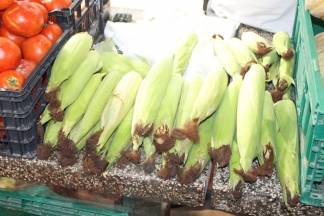 Ponuda na požeškoj tržnici 03.08.2017.