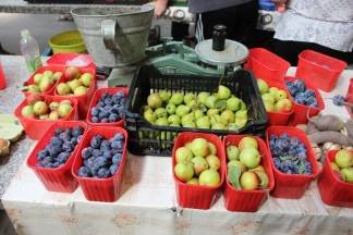 Ponuda na požeškoj tržnici 03.08.2017.