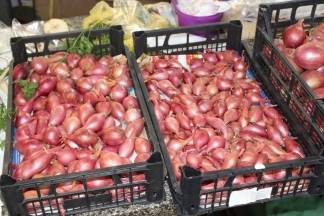 Ponuda na požeškoj tržnici 03.08.2017.