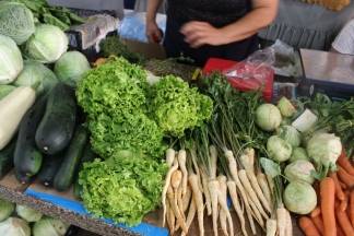 Ponuda na požeškoj tržnici 10.08.2017.