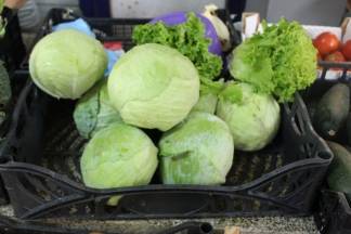 Ponuda na požeškoj tržnici 10.08.2017.