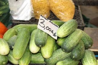 Ponuda na požeškoj tržnici 10.08.2017.