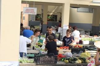 Ponuda na požeškoj tržnici 10.08.2017.